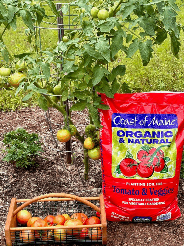 Organic & Natural Planting Soil for Vegetables & Tomatoes - Premium Planting Soil W/Composted Manure, Sphagnum Peat Moss for Multi Use Ground & Containers - Enhanced Drainage (20 Qt) - Image 2