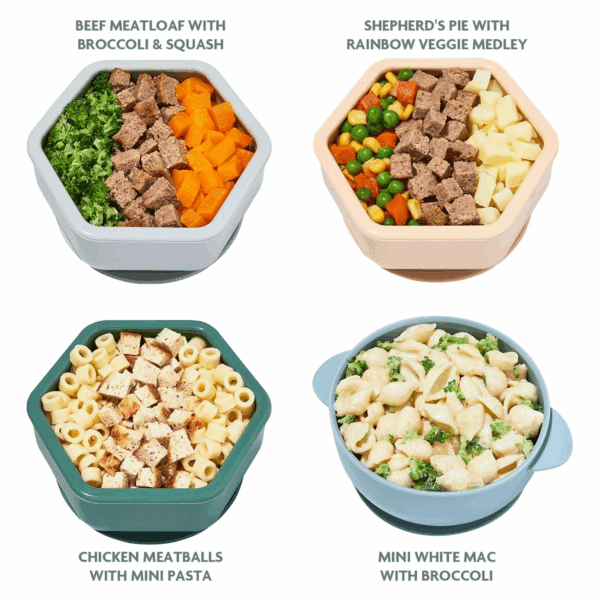 Finger Foods, Beef Chicken Pasta 4 Meal Variety Pack, Organic Focus Freshly Made Baby & Toddler Meals, Stage 3 Self Feeding, Ready to Eat Meals W/Veggies, Proteins, Refrigerated Delivery - Image 2