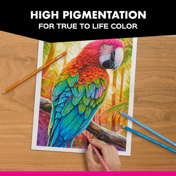 Premier Colored Pencils, Soft Core, 24 Pack - Image 7