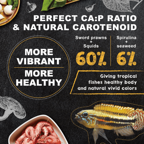 Tropical Fish Food, Wild Sword Prawn, Natural Color Enhancement, Slow Sinking Pellet for Discus, Angelfish, Medium Sized Cichlids and Fish, Tropical Excellent Bits 4.6 Oz - Image 2