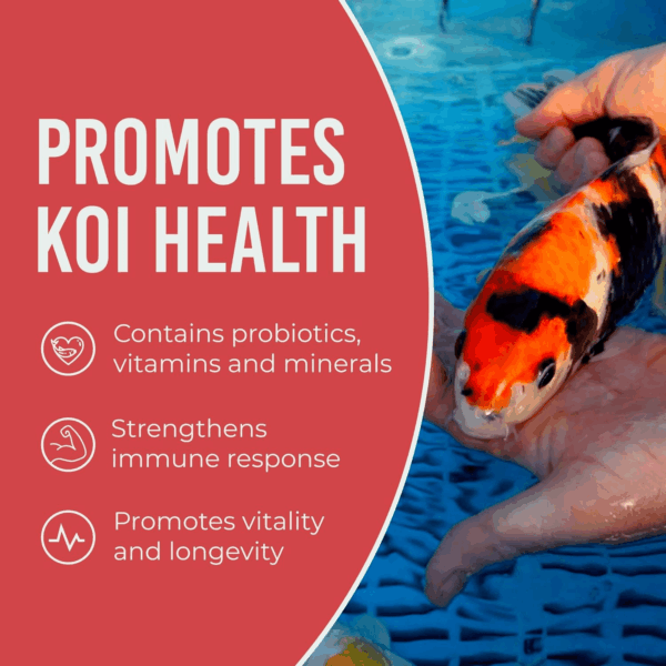 Blue Ridge Koi Fish Food 14Lb - Koi Food 3/16” Platinum Pro Formula Goldfish Food, Premium Fish Food for Ponds, Ponds Fish Food, Floating Pond Pellet - Image 6