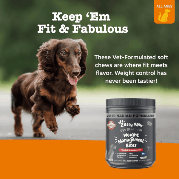 Vet Strength Weight Management Bites, Chicken, Dog, 10Ct (Sample - Pouch) - Image 6