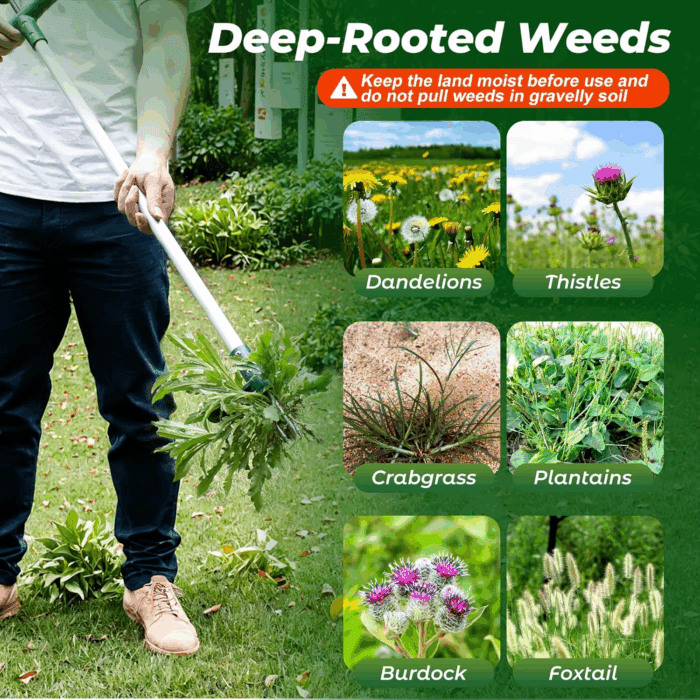 Weed Puller, Stand up Weeder Hand Tool, Long Handle Garden Weeding Tool with 3 Claws, Hand Weed Hound Weed Puller for Dandelion, Standup Weed Root Pulling Tool and Picker, Grabber (1 Pack) - Image 7