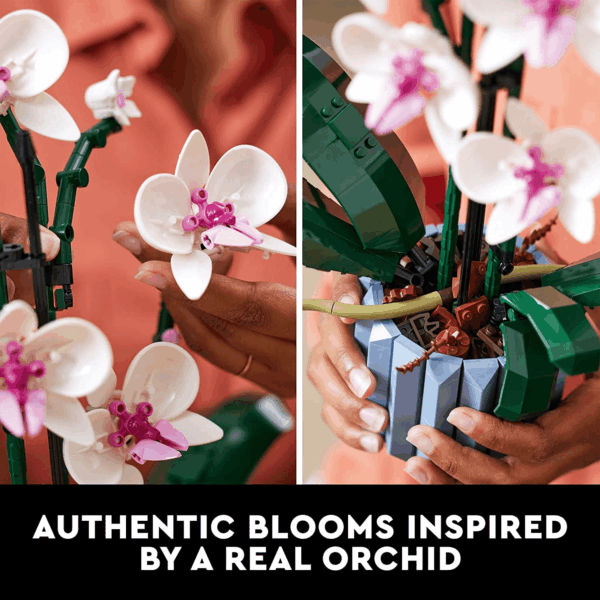 Botanicals Orchid - Artificial, Fake Indoor Flowers Building Set for Home, Kitchen, Desk Decoration, Adults Ages 18+ - Gift for Mother'S Day - 10311 - Image 3