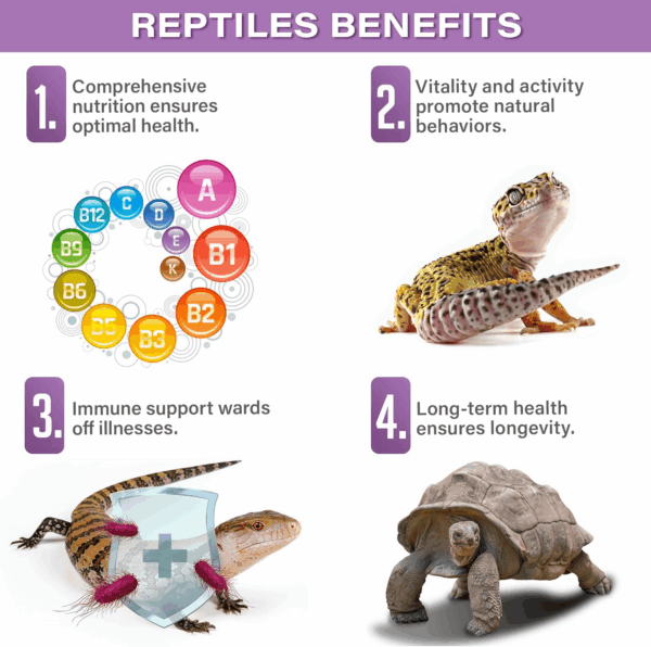 4Oz All Reptile & Amphibian Multi-Vitamin Powder. Premium Supplement, Supports Growth, Recovery, and Development. Boosted with Minerals, Carotenoids, and Amino Acids. Made in USA. Enjoy! - Image 4