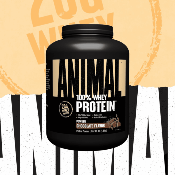 100% Whey Protein Powder – Whey Blend for Pre Workout or Post Workout, Recovery, or an Anytime Low Sugar Protein Boost Meal Replacement with BCAA Branched Chain Amino Acids – Chocolate, 4 Lb - Image 4