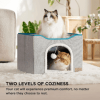 Cat Beds for Indoor Cats - Large Cat Cave for Pet Cat House with Fluffy Ball Hanging and Scratch Pad, Foldable Cat Hideaway,16.5X16.5X13 Inches, Grey - Image 3