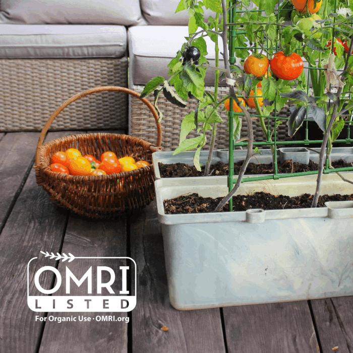 Organic Coir, 51 Quart Expanding Soil, Great for Seeds and Potting - Image 7