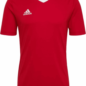 Men'S Entrada 22 Jersey