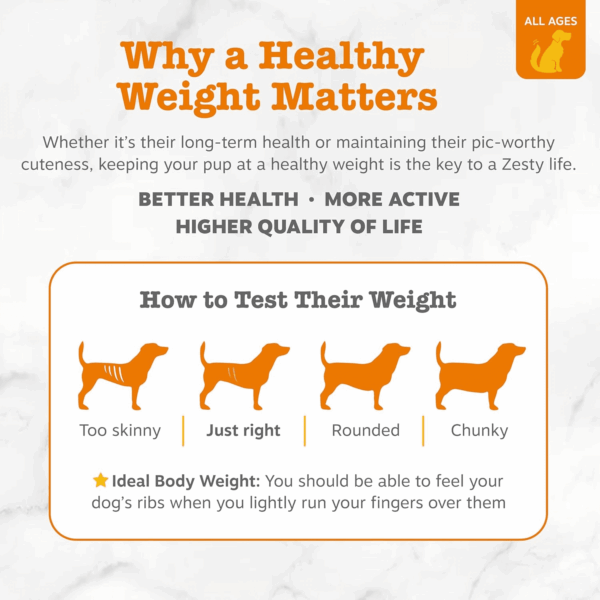 Vet Strength Weight Management Bites, Chicken, Dog, 10Ct (Sample - Pouch) - Image 5