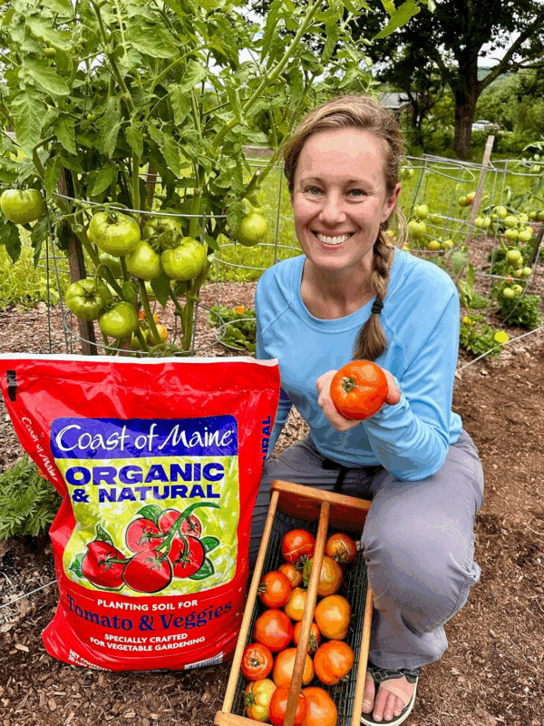 Organic & Natural Planting Soil for Vegetables & Tomatoes - Premium Planting Soil W/Composted Manure, Sphagnum Peat Moss for Multi Use Ground & Containers - Enhanced Drainage (20 Qt) - Image 3