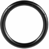 4Pcs 16G 18G 20G Surgical-Steel-Piercing-Ring-Nose-Rings-Hinged-Hoop-Earrings,6Mm 8Mm 10Mm 12Mm Seamless Stainless Steel Clicker Eyebrow Septum Piercing Hoop,Sliver Black Gold Rose Gold Rainbow Body Jewelry Set - Image 7