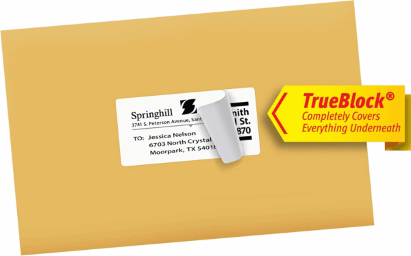 Printable Shipping Labels with Sure Feed, 2" X 4" Customizable Stickers, White, 250 Blank Mailing Labels, Great for Mailing, Shipping, and More (5263) - Image 8
