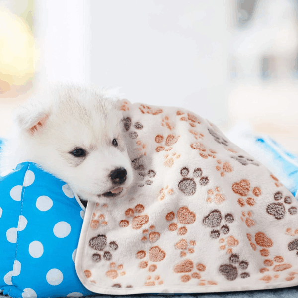 4 Pcs Dog Blanket for Pet Puppy Teething Toys Paw Print Fleece Blanket for Pet Cat Soft Warm Sleep Mat Guinea Pig Cage Mat(Small(24 X 16 Inch),White, Coffee, Pink, Purple) - Image 7