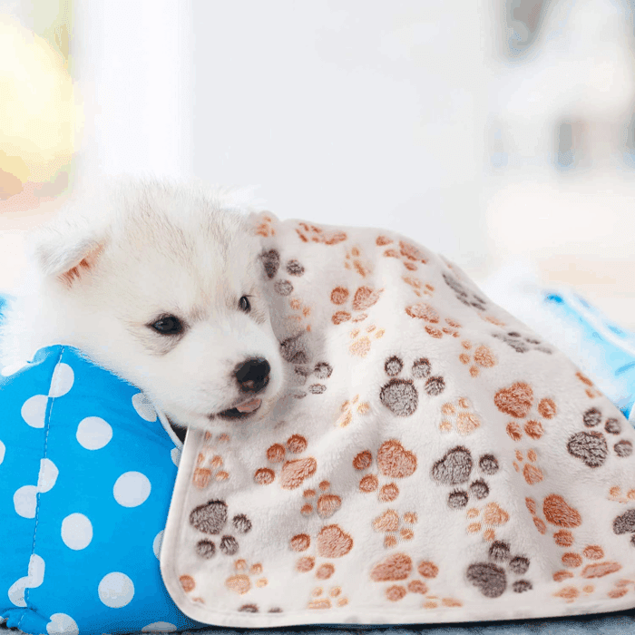 4 Pcs Dog Blanket for Pet Puppy Teething Toys Paw Print Fleece Blanket for Pet Cat Soft Warm Sleep Mat Guinea Pig Cage Mat(Small(24 X 16 Inch),White, Coffee, Pink, Purple) - Image 7
