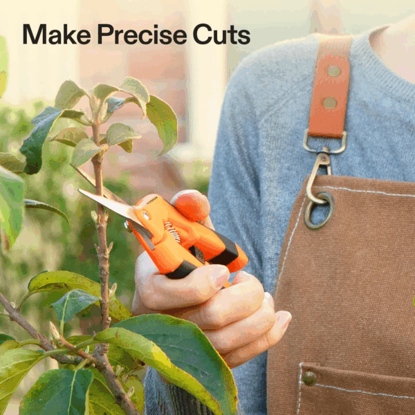 6.5 Inch Gardening Scissors Hand Pruner Pruning Shear with Straight Stainless Steel Blades Orange 1-Pack - Image 7