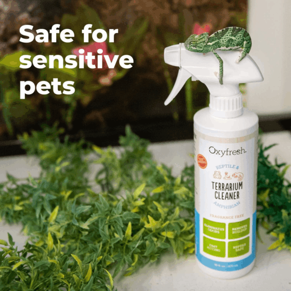 Premium Terrarium Cleaner – Professional Amphibian and Reptile Terrarium Smell Eliminator – Safe & Quickly Removes Waste & Odors – Streak Free Glass – Bleach Free - Image 6