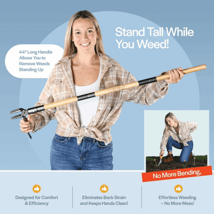 Weed Puller Tool, Stand up Heavy Duty Weed Remover Tool with Long Handle, Foot Platform Design - 4 Claw Steel Head Weeder Tool, Bamboo Garden Hand Weeding Tool, Smoothly Remove Weeds without Kneeling - Image 3