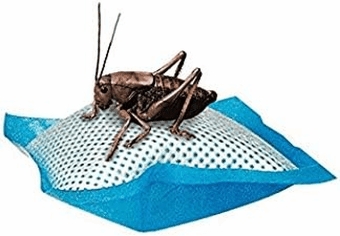 Reptile Food Cricket Water Pillows, 6-Pack - Image 3