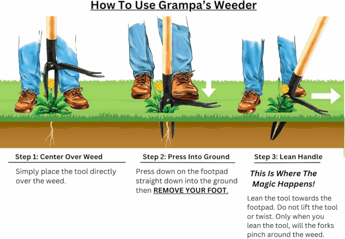 - the Original Stand up Weed Puller Tool with Long Handle - Made with Real Bamboo & 4-Claw Steel Head Design - Easily Remove Weeds without Bending, Pulling, or Kneeling. - Image 6