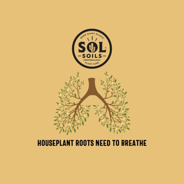 Chunky Houseplant Mix - Fast Draining Soil for Indoor Plants with Coco Coir Chips, Perlite, & Pumice, 1 Gallon - Image 8