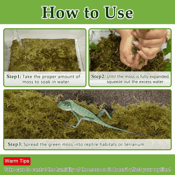 9OZ Natural Sphagnum Moss for Reptiles- 14QT Green Live Moss for Terrarium Plants Long Fiber Reptile Moss for Leopard Gecko Snake Hamsters Tortoises Frogs Lizards Salamanders - Image 4