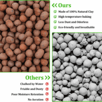 10LBS Expanded Clay Balls Terrarium Substrate for Reptiles - 100% Organic Lightweight Clay Pebbles Substrate Frogs False Bottom Substrate, Bioactive Terrarium Substrate for Drainage and Moisture - Image 5