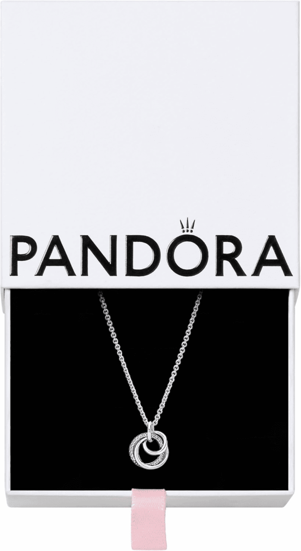 Family Always Encircled Pendant Necklace - Adjustable Necklace with Lobster Clasp - Gift for Her - Sterling Silver & Cubic Zirconia - with Gift Box - 23.6"