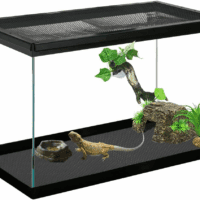 Bearded Dragon Tank Accessories, Reptile Terrarium Liner Substrate for Leopard Gecko, Snake, Lizard and Tortoise, Non-Adhesive Reptile Carpet Bedding for Reptile Tank, Black - Image 7