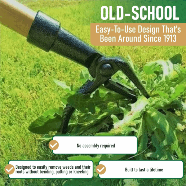 - the Original Stand up Weed Puller Tool with Long Handle - Made with Real Bamboo & 4-Claw Steel Head Design - Easily Remove Weeds without Bending, Pulling, or Kneeling. - Image 3