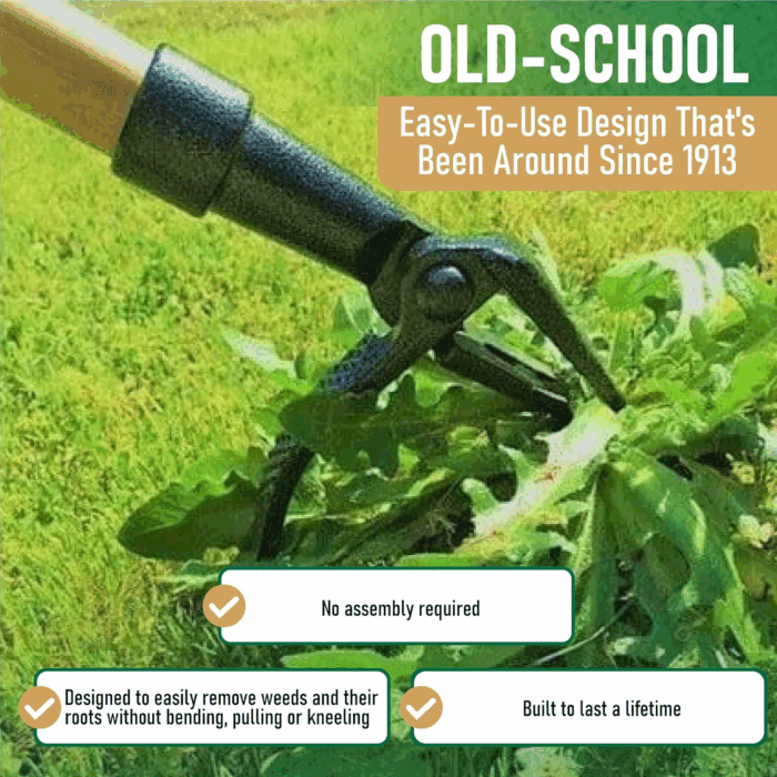 - the Original Stand up Weed Puller Tool with Long Handle - Made with Real Bamboo & 4-Claw Steel Head Design - Easily Remove Weeds without Bending, Pulling, or Kneeling. - Image 3