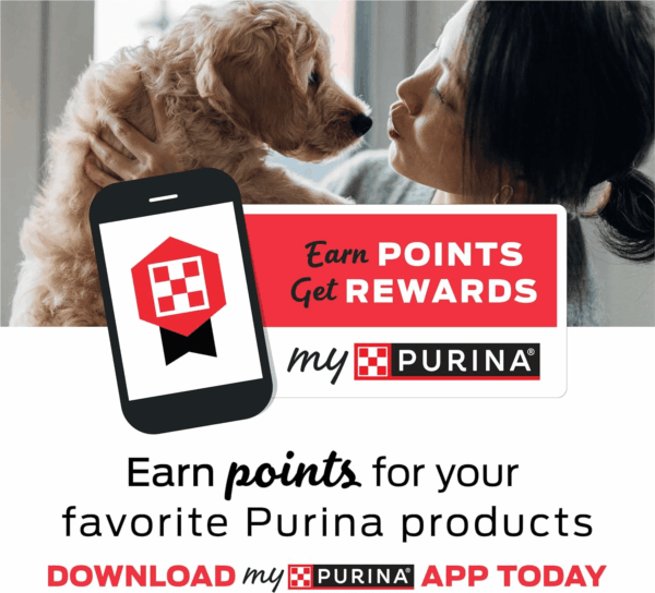 Purina Pro Plan Veterinary Supplements Fortiflora Cat Probiotic Supplement for Cats with Diarrhea - 30 Ct. Box - Image 3
