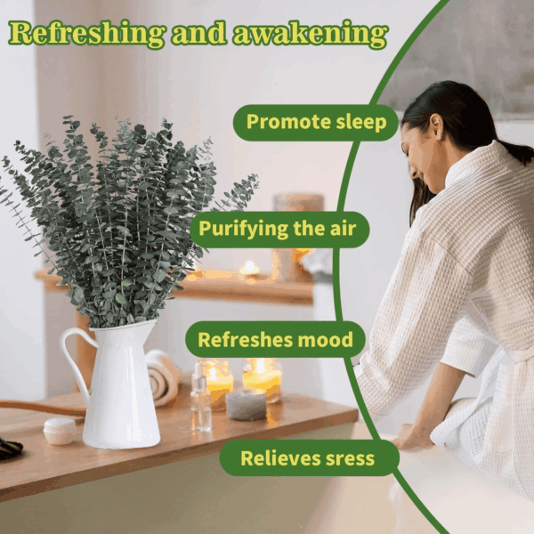 11 PCS Real Dried Eucalyptus Stem for Shower & Bathroom Decor - 17'' Large Natural Fresh Eucalyptus Leaves Hanging Plants, Shower Stuff Green Home Vase Decor, DIY - Image 4