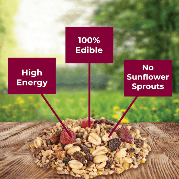 Wild Bird Ultra No Mess Nut & Fruit Food Seed Blend for Blue Jays, Woodpeckers, Juncos, Cardinals, Grosbeaks, Sparrows, and Finches, 5.5 Pound - Image 8