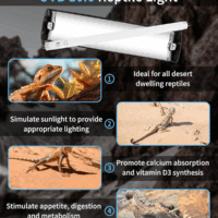 T8 Reptile Light Fixture Combo Kit 15W (New Upgrade), UVB Reptile Light Fixture with Desert UVB 10.0 18" Fluorescent Tube, UVA UVB Reptile Light for Lizard, Bearded Dragon, Tortoise - Image 6