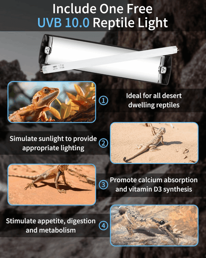T8 Reptile Light Fixture Combo Kit 15W (New Upgrade), UVB Reptile Light Fixture with Desert UVB 10.0 18" Fluorescent Tube, UVA UVB Reptile Light for Lizard, Bearded Dragon, Tortoise - Image 6
