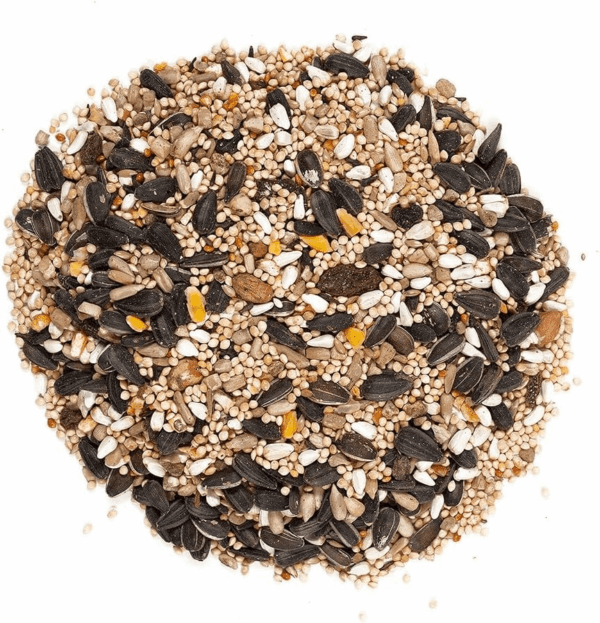 62034 Greatest Variety Blend Wild Bird Food, 6-Pound Bag - Image 3