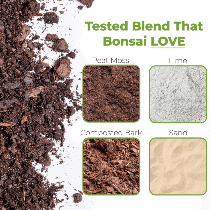 Bonsai Soil by  - 2Qts. | Premium All-Purpose Mix Bonsai Tree Varieties - Image 2