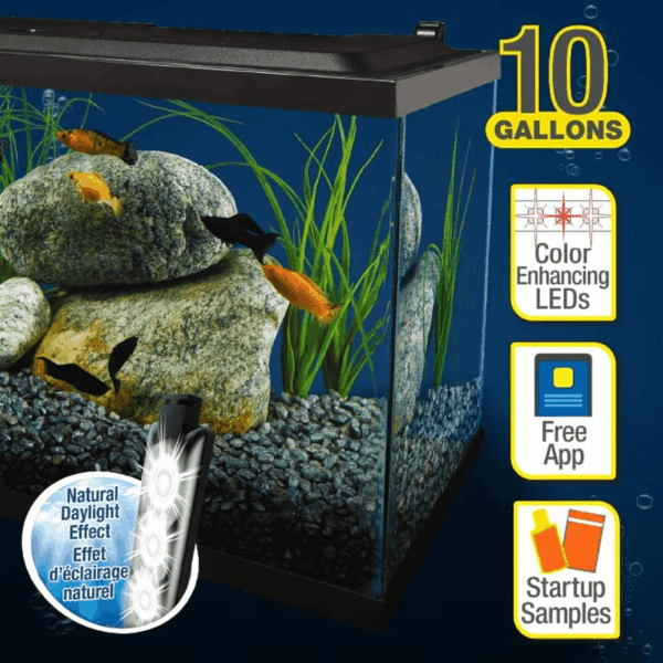 Aquarium, 10 Gallon, Complete Tropical Fish Tank Kit with LED Lighting for Freshwater Fish - Image 7