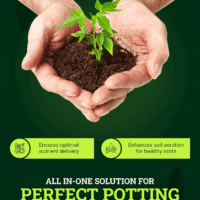 Ocean Forest Potting Soil, 12Qt – Light, Aerated Texture, Designed for All Container Plants – Ph Adjusted for Optimal Nutrient Uptake, Effectively Retains Moisture - Image 4