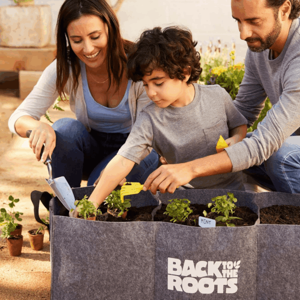 Organic & Plantable Seed Starting Pots (24 CT) - Image 6