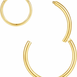 Hypoallergenic Nose Rings 20G 18G 16G 14G 12G 10G 8G 316L Surgical Steel Septum Jewelry Hinged Segment Ring Body Piercing Nose Hoop Lip Rings Nose Helix Cartilage Rook Earrings