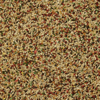 Forti-Diet Pro Health Pet Canary & Finch Food, 2 Lb - Image 3