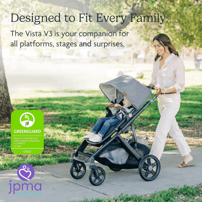Vista V3 Stroller - Full-Size Single-To-Double Stroller System - Toddler Seat, Bug Shield, Rain Shield, and Storage Bag Included - Jake (Charcoal/Carbon Frame/Black Leather) - Image 3