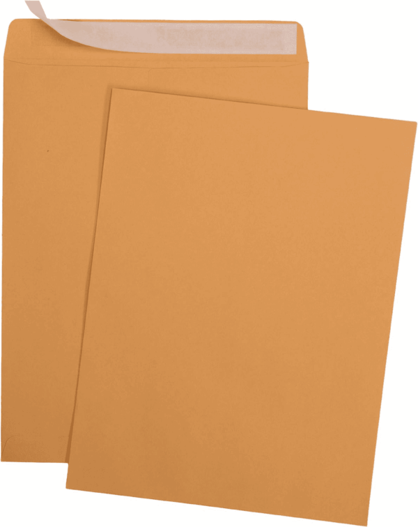 9 X 12 Self-Seal Brown Kraft Catalog Mailing Envelopes - 28Lb - 250 Count, 9X12 Inch (38302) - Image 3