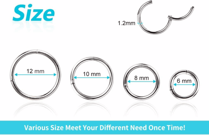 4Pcs 16G 18G 20G Surgical-Steel-Piercing-Ring-Nose-Rings-Hinged-Hoop-Earrings,6Mm 8Mm 10Mm 12Mm Seamless Stainless Steel Clicker Eyebrow Septum Piercing Hoop,Sliver Black Gold Rose Gold Rainbow Body Jewelry Set - Image 3