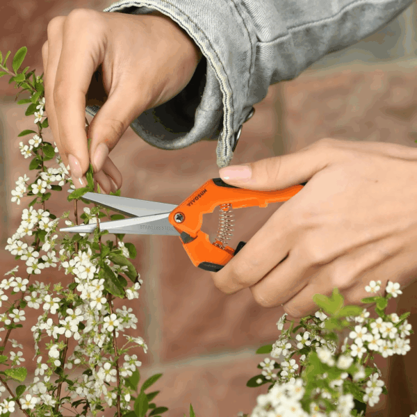 6.5 Inch Gardening Scissors Hand Pruner Pruning Shear with Straight Stainless Steel Blades Orange 1-Pack - Image 9