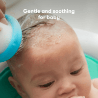 the 3-Step Cradle Cap System, Dermafrida the Flakefixer, Sponge, Brush, Comb and Storage Stand for Babies with Cradle Cap, White-Blue - Image 4