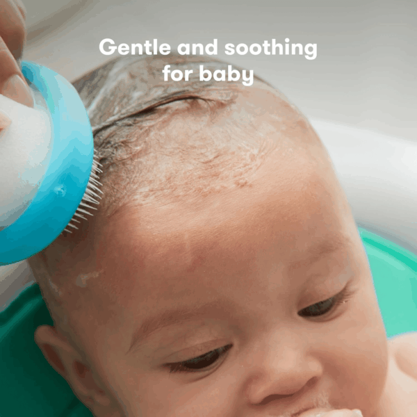 the 3-Step Cradle Cap System, Dermafrida the Flakefixer, Sponge, Brush, Comb and Storage Stand for Babies with Cradle Cap, White-Blue - Image 4