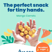 Smoothie Melts - Mango Carrot - Baby Snacks Made with Fruits and Vegetables - Healthy Toddler Snacks for Your Kids Lunch Box - Organic Plant Based Yogurt Melts - 6 Resealable Bags - Image 2